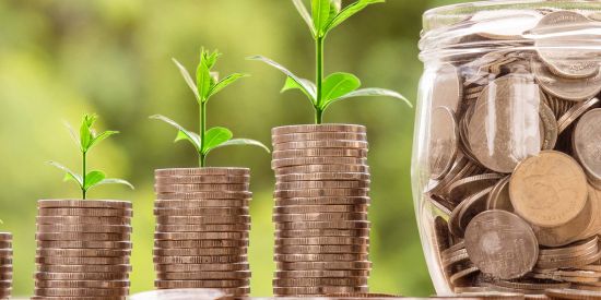 increasing columns of coins with little seedlings leading to a coin jar