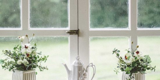 house window with plants in front