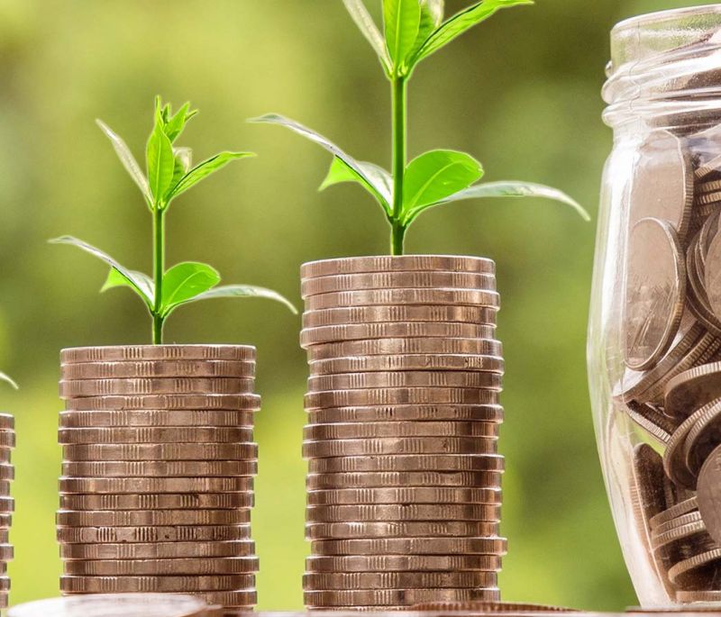 increasing columns of coins with little seedlings leading to a coin jar