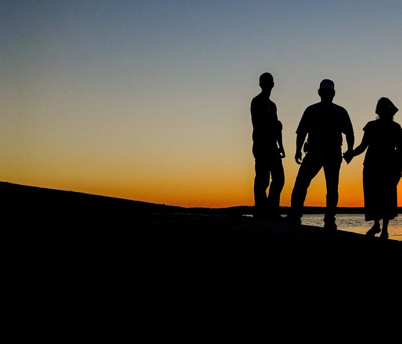 silhouette of family with young adult children