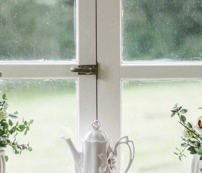 house window with plants in front